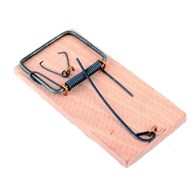 Łapki na myszy drewno