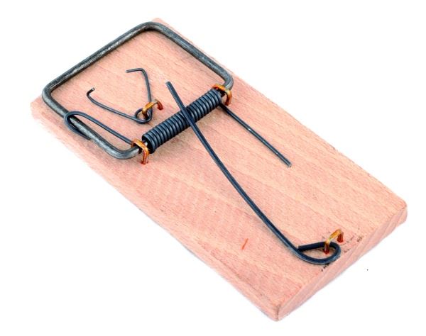 Łapki na myszy drewno