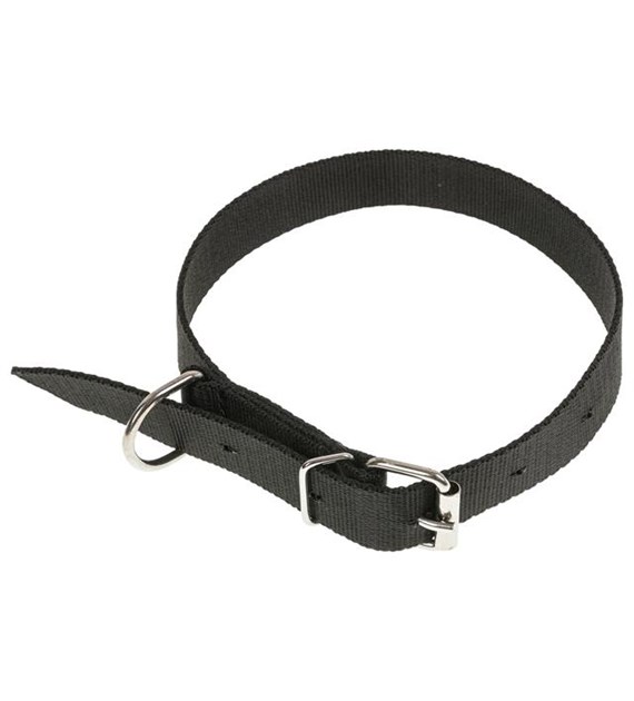 Obroża taśma 2,5x 65cm