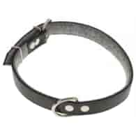 Obroża skóra 3,0 x 70cm czarna