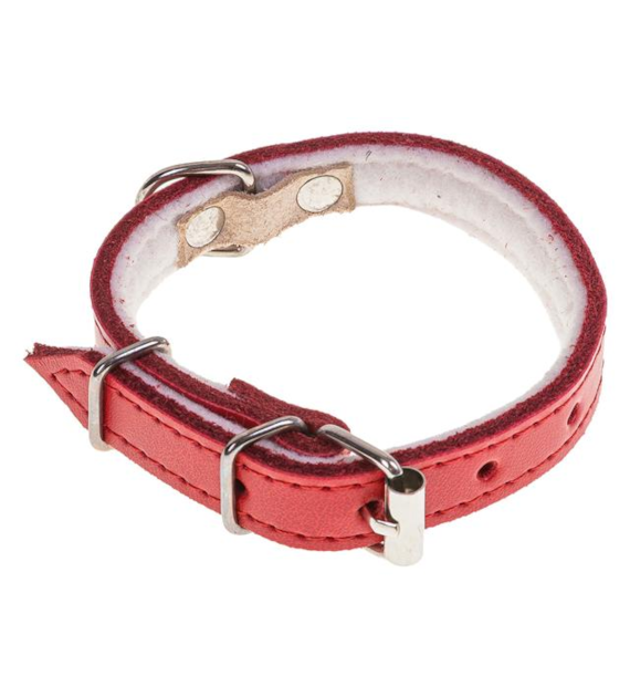 Obroża skóra 1,0 x 30cm czerwona