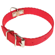 Obroża taśma 1,6 x 32cm czerwona