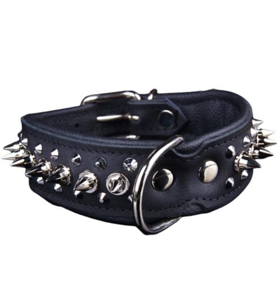 Obroża skórzana z kolcami 3,5 x 55cm