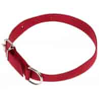 Obroża taśma 2,0x 50cm czerwona