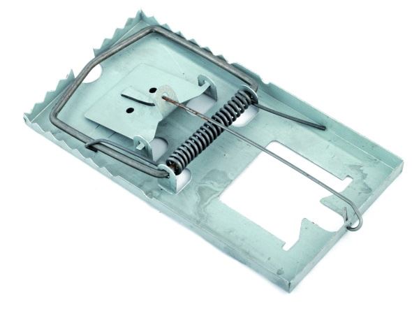 Łapki na myszy metalowe