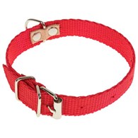 Obroża taśmowa 1,6 x 32cm