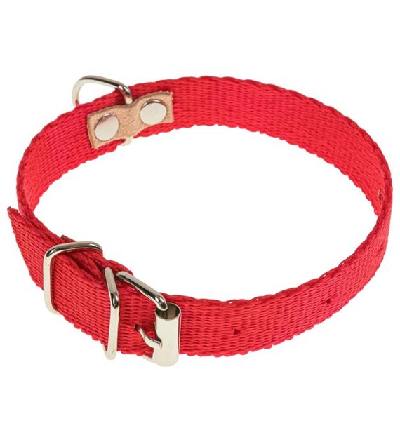 Obroża taśmowa 1,6 x 32cm