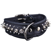 Obroża skórzana z kolcami 40mm x 65cm