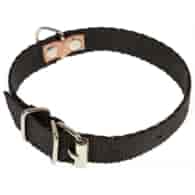 Obroża taśma 1,6 x 32cm czarna