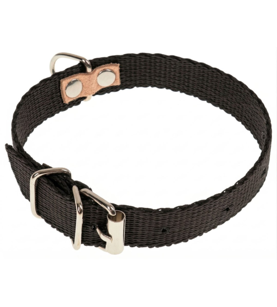 Obroża taśma 1,6 x 32cm czarna